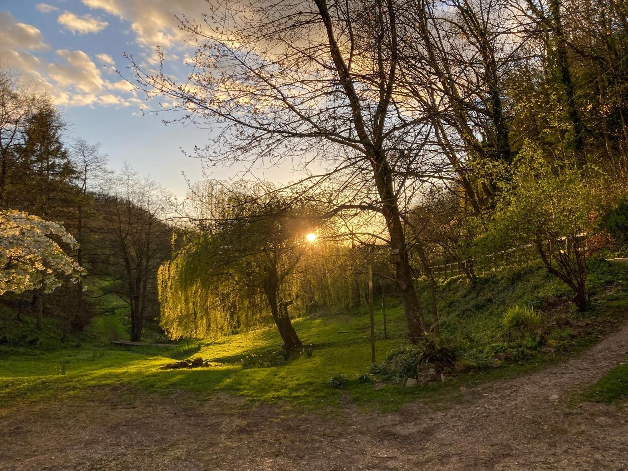 Driftcombe Farmhouse Bisley  Exteriér fotografie